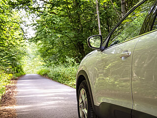 Auto fährt im Wald