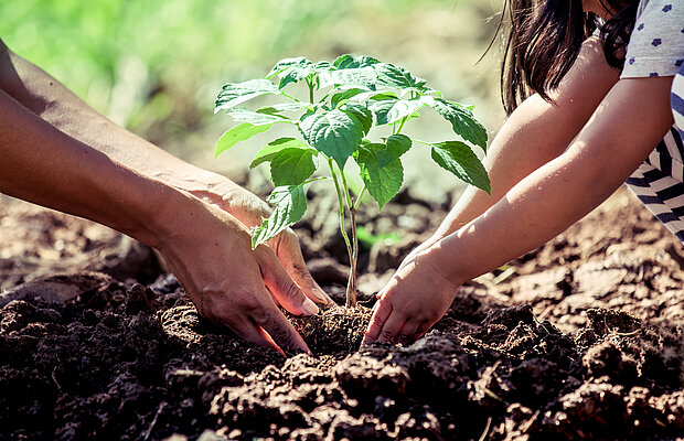 Vater und Kind pflanzen einen Baum ein. | © pingpao - Fotolia.com